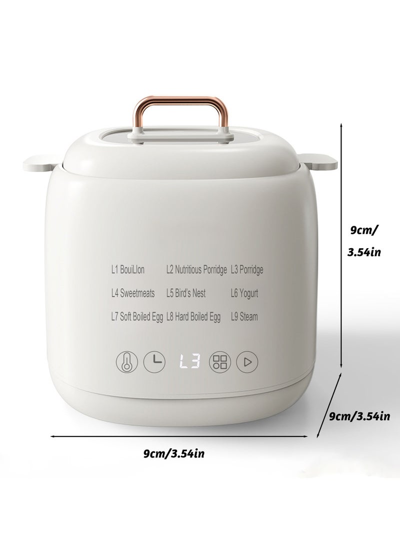 Egg Cooker Electric Boiler Steamer Maker - Multi-Function Home Appliance, 1.0L Capacity, Auto Shut-Off, Rapid Cooking, Soft & Hard Boiled Eggs, 24hr Timer, A+ Ceramic Inner Pot