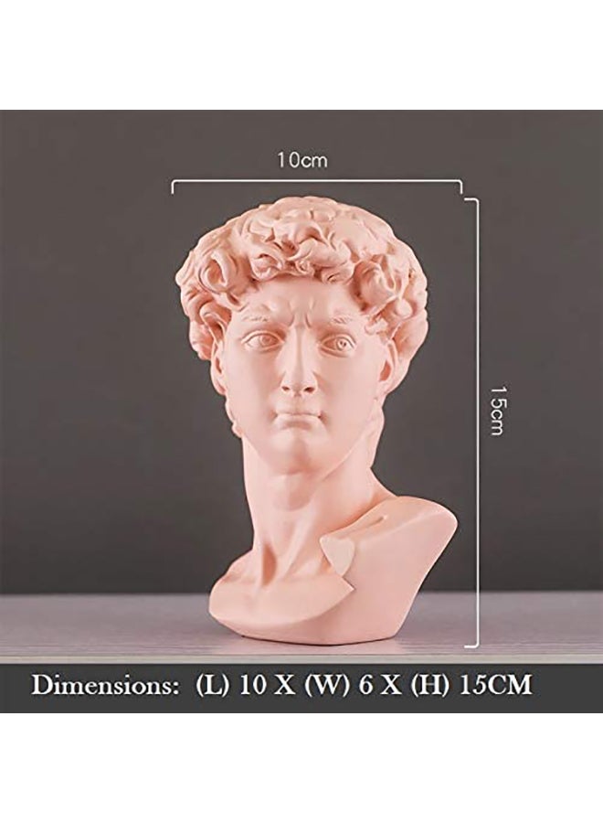 Greek Michelangelo David Statue Bust Sculpture Pink