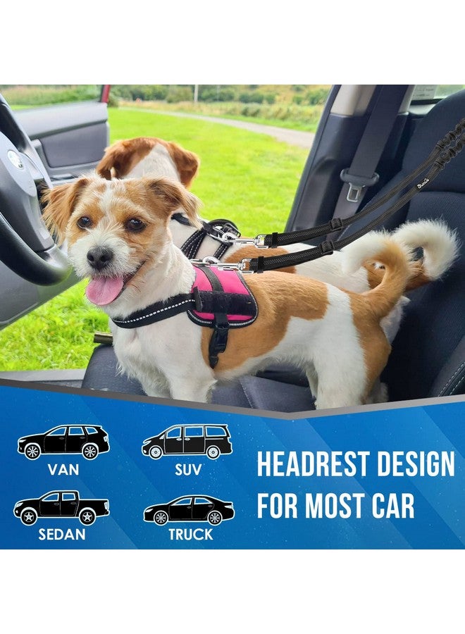 Double Dog Seat Belt, New Dual Pet Car Headrest Restraint Safety Seatbelt No Tangle Dog Leash Duty Adjust Elastic Bungee Puppy Lead Splitter Connect Harness In Vehicle Travel For 2 Dogs,Black
