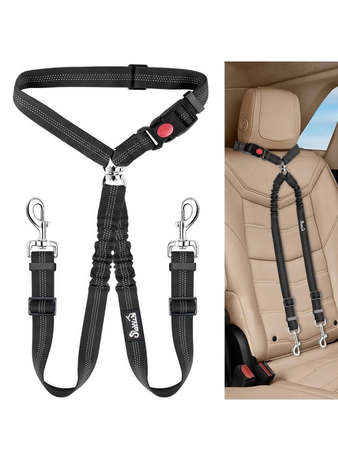 Double Dog Seat Belt, New Dual Pet Car Headrest Restraint Safety Seatbelt No Tangle Dog Leash Duty Adjust Elastic Bungee Puppy Lead Splitter Connect Harness In Vehicle Travel For 2 Dogs,Black