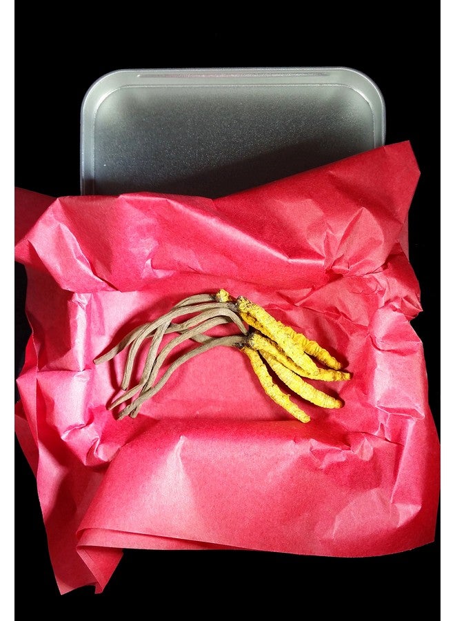 Wild Cordyceps, Whole Himalyan Cordyceps Sinensis Mushroom, Genuine And Very Rare, High Grade, Boost Energy, Reduce Stress For Men And Women, 3 Grams