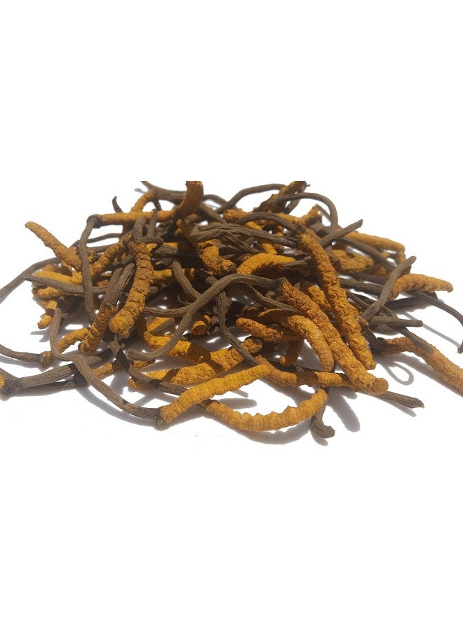 Wild Cordyceps, Whole Himalyan Cordyceps Sinensis Mushroom, Genuine And Very Rare, High Grade, Boost Energy, Reduce Stress For Men And Women, 3 Grams