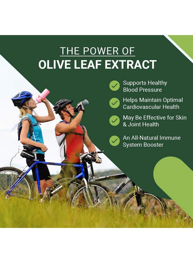 Olive Leaf Extract (Ole) Super Strength D-Lenolate 500Mg | 18% Or More Oleuropein Immune System Booster | 180 Vegetarian Capsules (Non-Gmo)