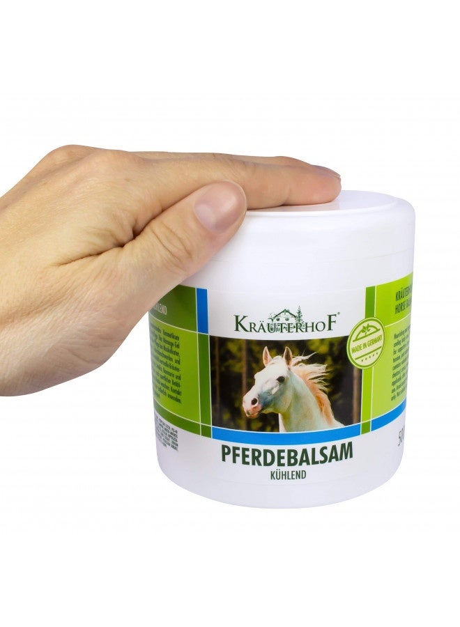 Kräuterhof Horse Balm Cools And Revitalises Precious Herbal Extracts From Horse Chestnut Arnica Rosemary And Mint Oil 500 Ml Tub Sealed With Aluminum Foil