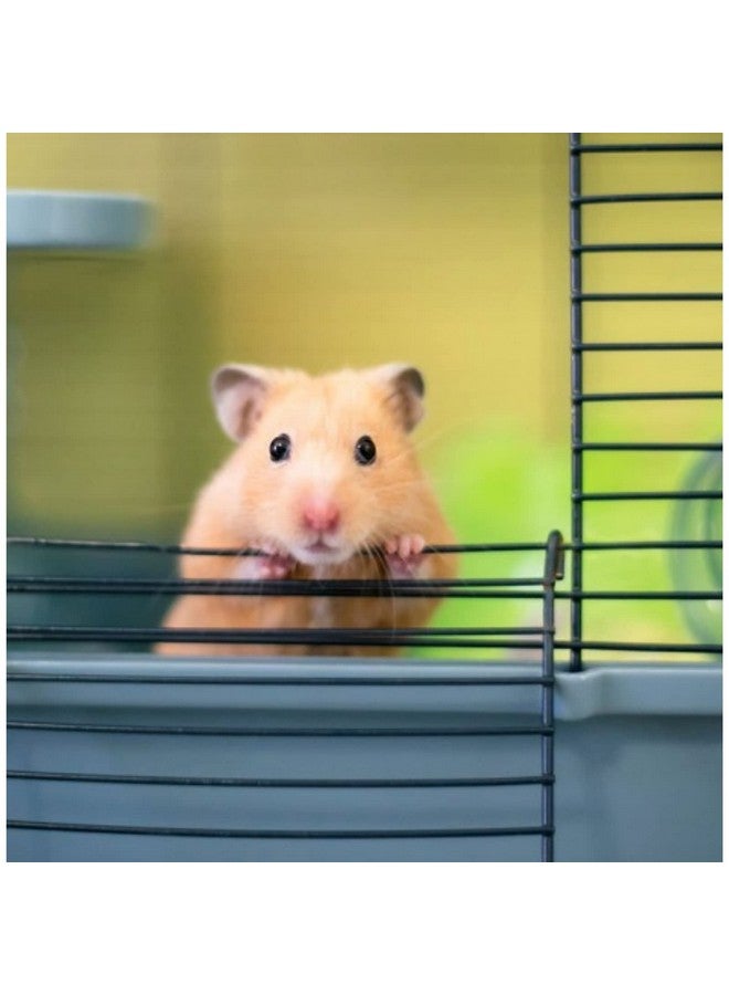 Martha Triple Hamster & Guniea Pigs Cage, Cage Contains A House, Two Platforms, Ladder, Bowl, Exercise Wheel, And Bottle, Fun And Activity Cage For Small Pets, 19 X 12 X 14 Inch