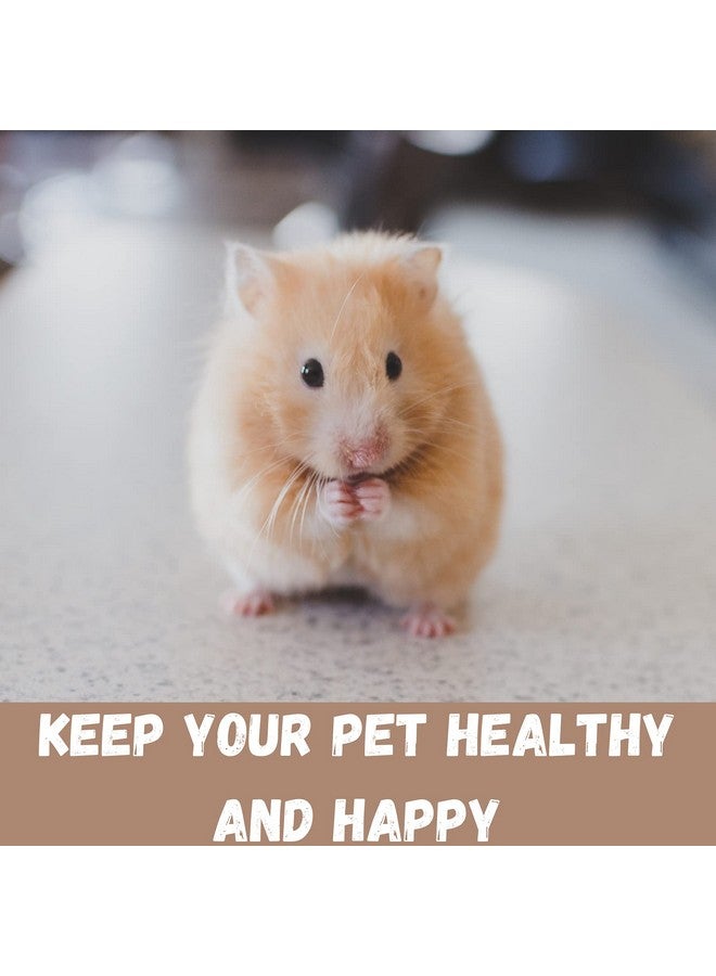 Martha Triple Hamster & Guniea Pigs Cage, Cage Contains A House, Two Platforms, Ladder, Bowl, Exercise Wheel, And Bottle, Fun And Activity Cage For Small Pets, 19 X 12 X 14 Inch