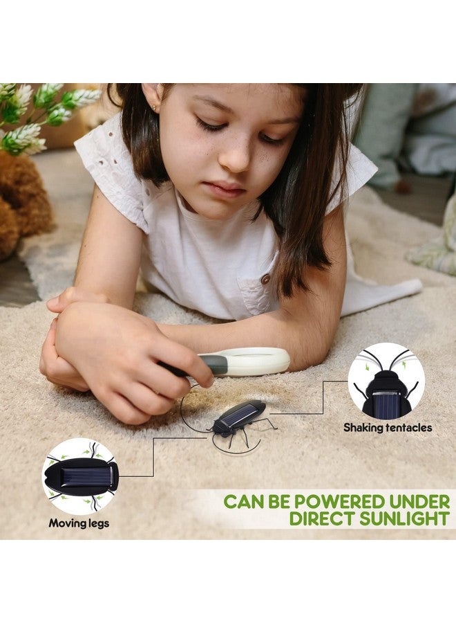2Pcs Solar Powered Insect Toys Educational Fake Roaches Grasshopper Insect Moving Toys Teaching Bug Toys For Kids Birthday Gift Christmas Halloween Party Favor