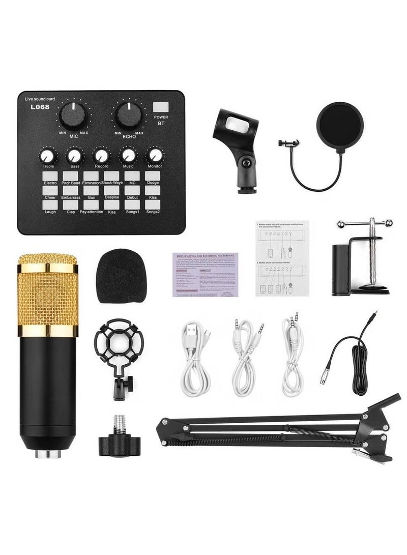 Professional Bm800 Condenser Microphone With L068 Live Sound Card And Studio Recording Broadcasting Set Black/Gold