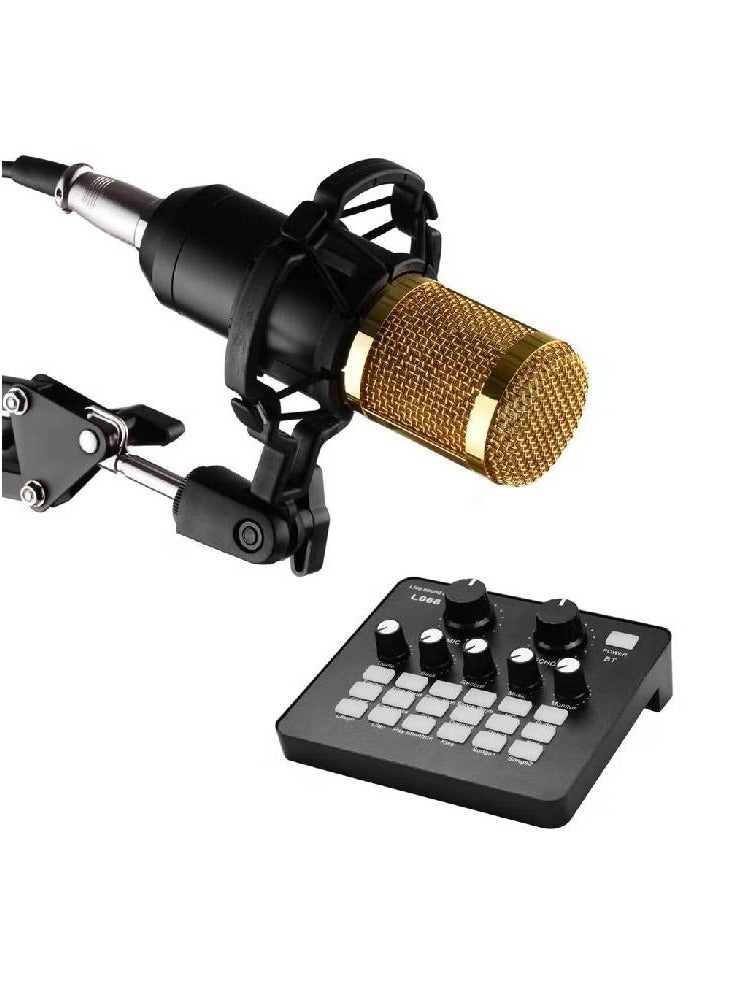 Professional Bm800 Condenser Microphone With L068 Live Sound Card And Studio Recording Broadcasting Set Black/Gold