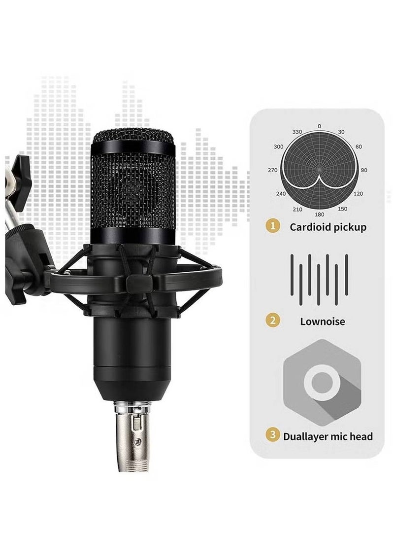 Podcast Equipment Set, BM-800 Mic Kit with V8 Live Sound Card, Condenser PC Gaming Mic with Professional Audio Mixer, Prefect for Streaming, Computer, Singing, Youtube, Recording (BLACK)