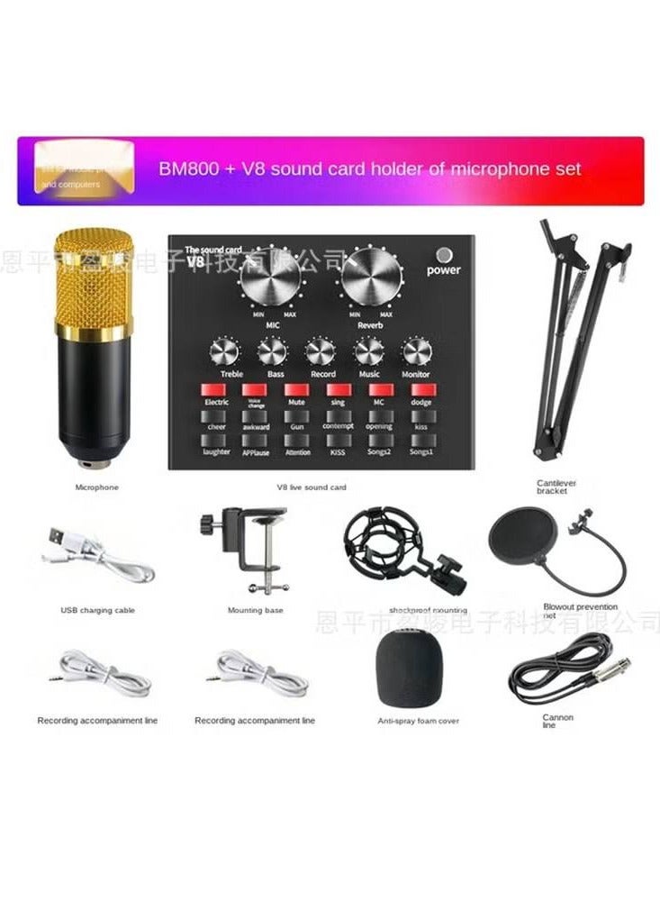 Podcast Equipment Set, BM-800 Mic Kit with V8 Live Sound Card, Condenser PC Gaming Mic with Professional Audio Mixer, Prefect for Streaming, Computer, Singing, Youtube, Recording (BLACK)