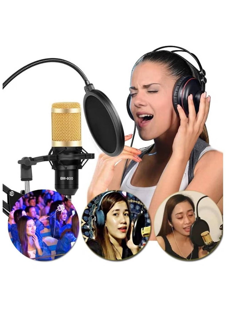 V8S Sound Card Upgraded VM-800 Condenser Microphone Set for Live Streaming Karaoke And Voice Recording Recording Sound Card, Voice Changer Device With Multiple Funny Sound Effect USB Audio Interface