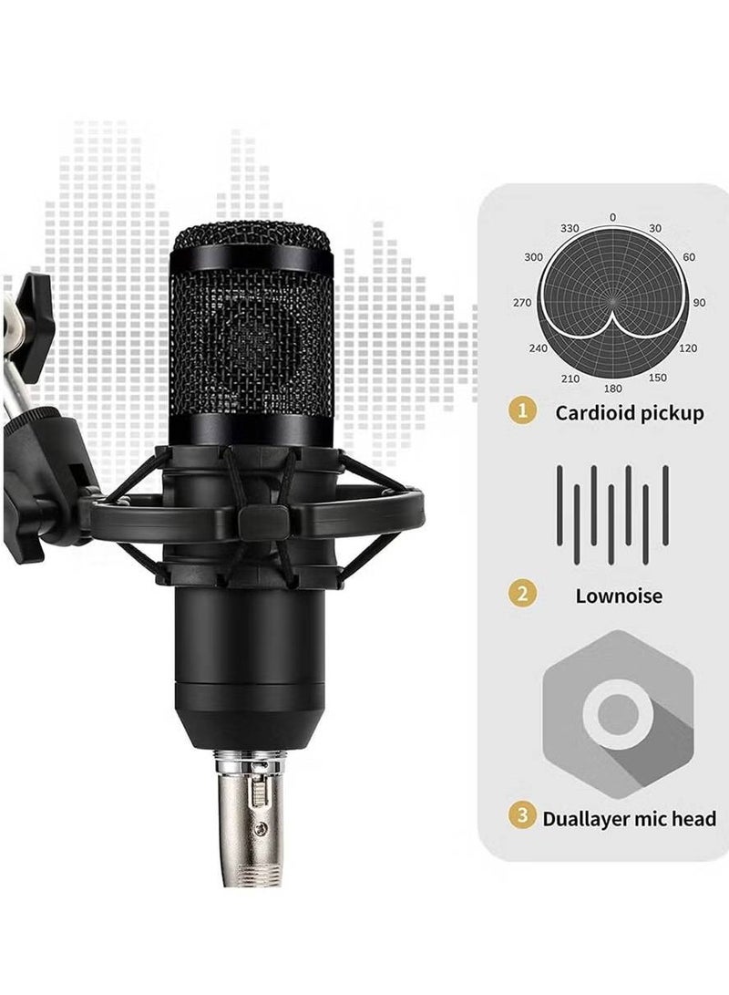 Podcast Equipment Set, BM-800 Mic Kit with V8 Live Sound Card, Condenser PC Gaming Mic with Professional Audio Mixer, Prefect for Streaming, Computer, Singing, Youtube, Recording (BLACK)