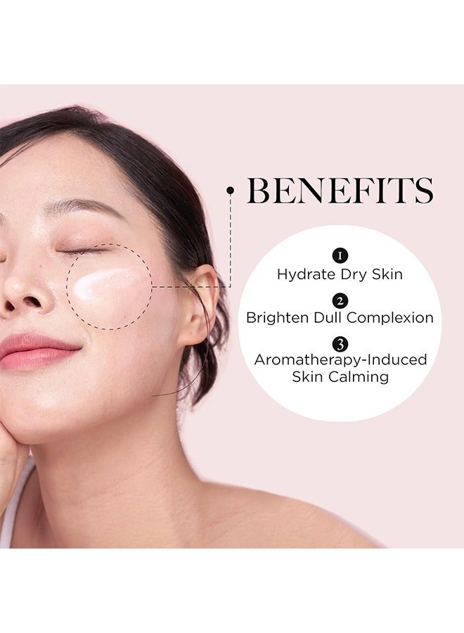 Moist Up Collagen Sleeping Mask, Overnight Sleeping Face Mask, Face Gel Cream Moisturizer with Vitamin E and Niacinamide, Moisturizing, Anti-Aging, Radiance Care, 50ml / 1.69 fl.oz
