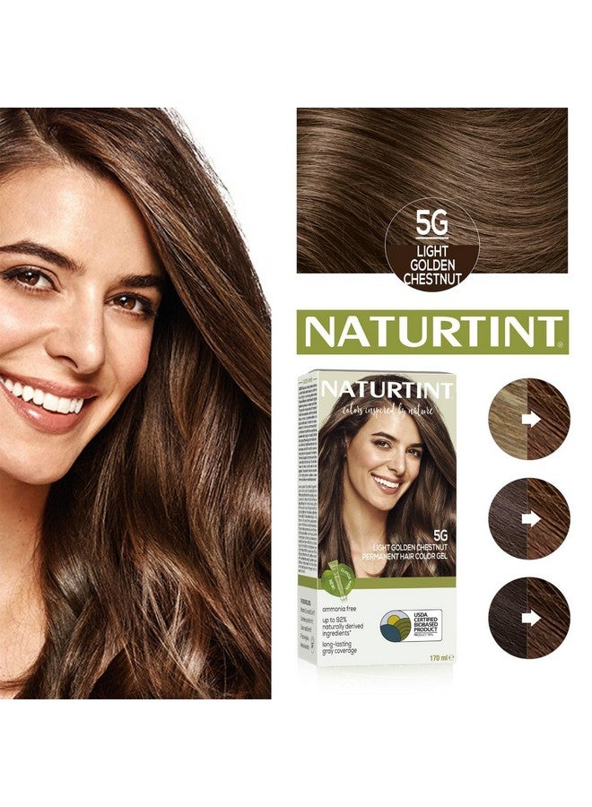 Permanent Hair Colour Light Golden Brown 5G | Grey Coverage Long Lasting Hair Colour 92% Natural Ingredients Usda Certified | Ammonia Free Vegan Hair Color Gel-5G Light Golden Chestnut 170Ml