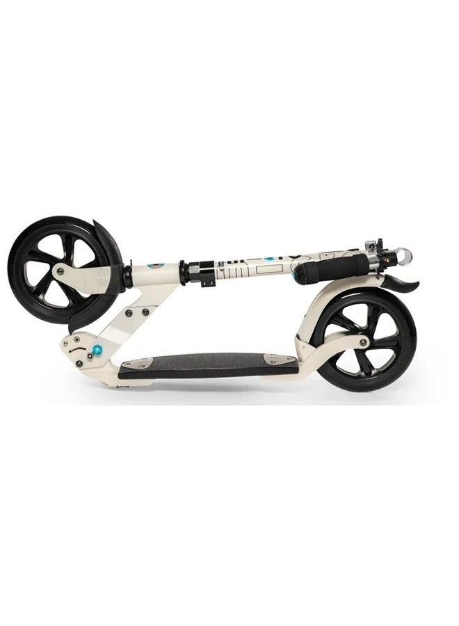 Micro Flex Scooter