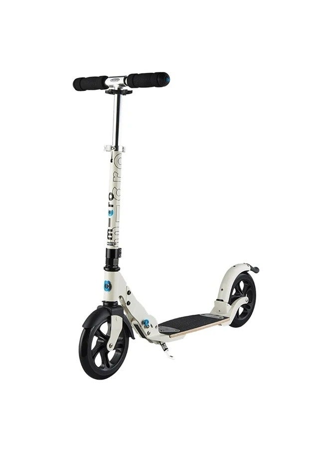 Micro Flex Scooter