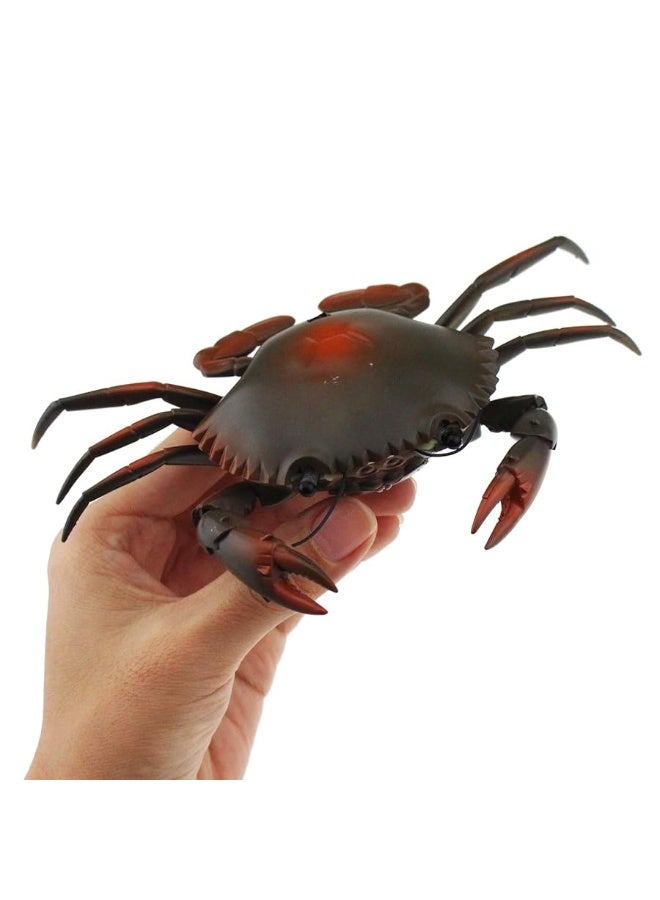 Tipmant RC Crab Animal Toy Remote Control Car Vehicle Electronic Fake Insect for Kids Birthday Gift Christmas Halloween (Grey)