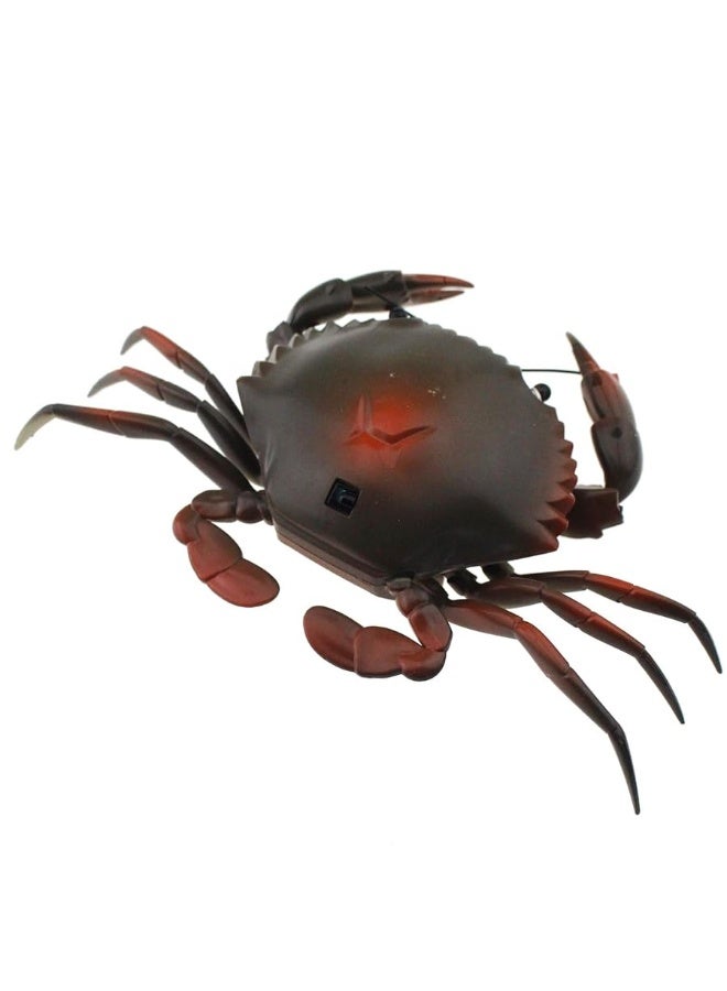 Tipmant RC Crab Animal Toy Remote Control Car Vehicle Electronic Fake Insect for Kids Birthday Gift Christmas Halloween (Grey)