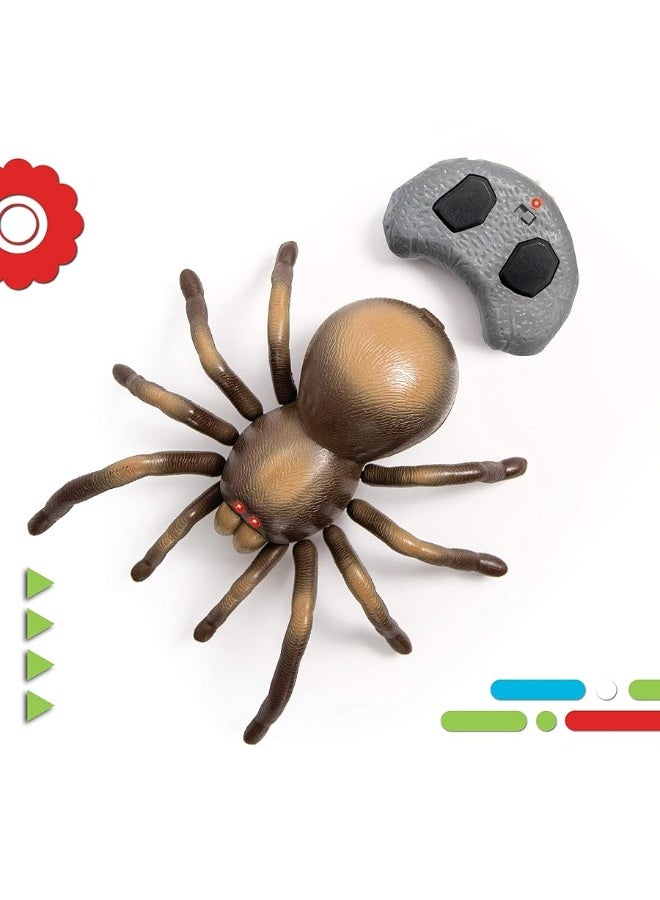 Discovery Kids RC Moving Tarantula Spider, Wireless Remote Control Toy for Kids, Great for Pranks and Halloween Decorations, Realistic Scurrying Movement, Glowing Scary Red LED Eyes