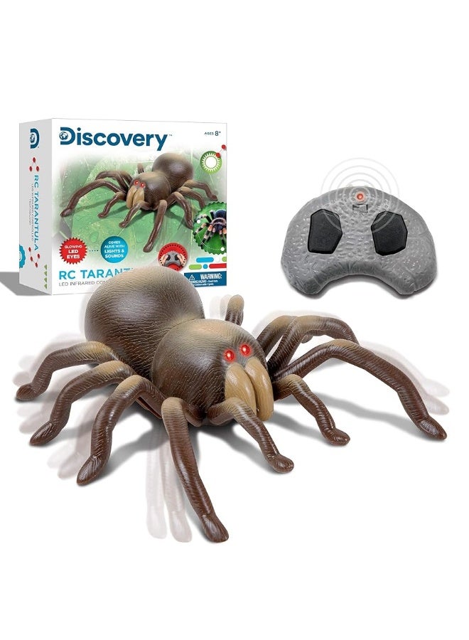 Discovery Kids RC Moving Tarantula Spider, Wireless Remote Control Toy for Kids, Great for Pranks and Halloween Decorations, Realistic Scurrying Movement, Glowing Scary Red LED Eyes