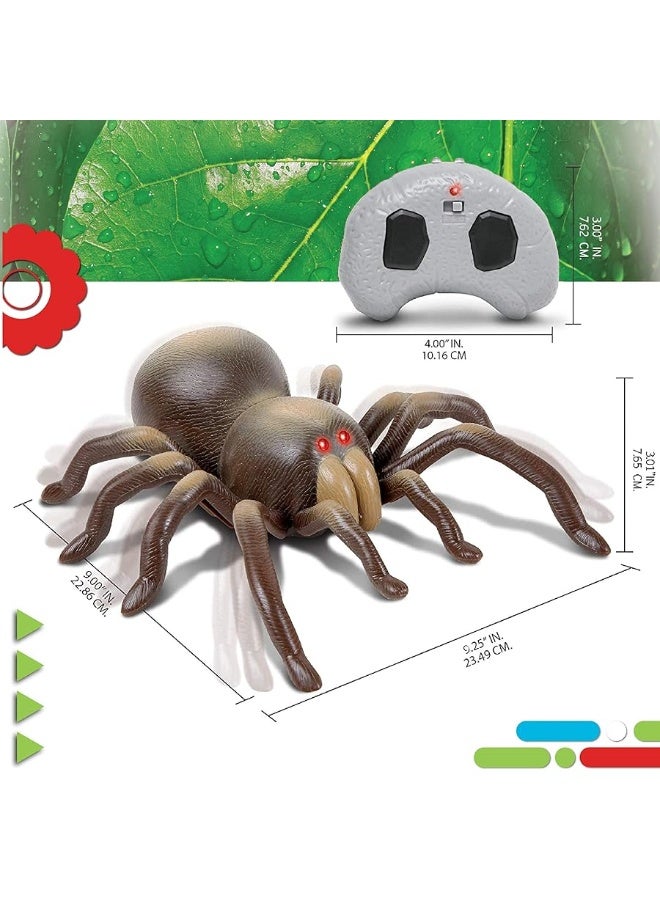 Discovery Kids RC Moving Tarantula Spider, Wireless Remote Control Toy for Kids, Great for Pranks and Halloween Decorations, Realistic Scurrying Movement, Glowing Scary Red LED Eyes