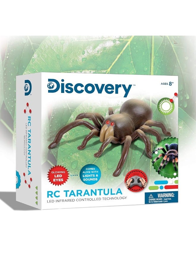 Discovery Kids RC Moving Tarantula Spider, Wireless Remote Control Toy for Kids, Great for Pranks and Halloween Decorations, Realistic Scurrying Movement, Glowing Scary Red LED Eyes