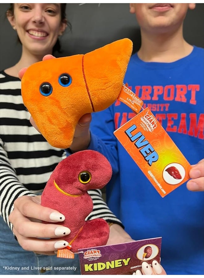 Giantmicrobes Kidney Plush Kidney Stuffed Animal Kidney Transplant Gifts Kidney Donor Gifts Kidney Pillow Urology Gifts Nephrology Gifts Dialysis Nurse Gifts Gifts For Urologist Kidney Toy