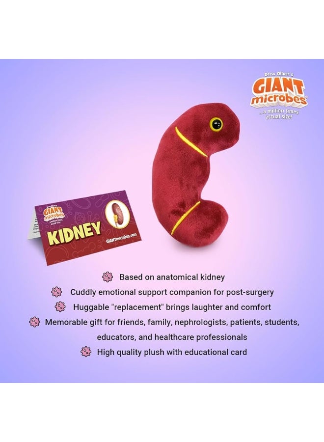 Giantmicrobes Kidney Plush Kidney Stuffed Animal Kidney Transplant Gifts Kidney Donor Gifts Kidney Pillow Urology Gifts Nephrology Gifts Dialysis Nurse Gifts Gifts For Urologist Kidney Toy