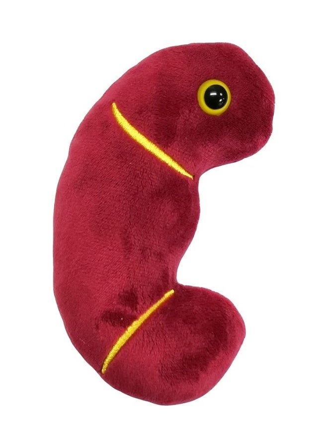 Giantmicrobes Kidney Plush Kidney Stuffed Animal Kidney Transplant Gifts Kidney Donor Gifts Kidney Pillow Urology Gifts Nephrology Gifts Dialysis Nurse Gifts Gifts For Urologist Kidney Toy