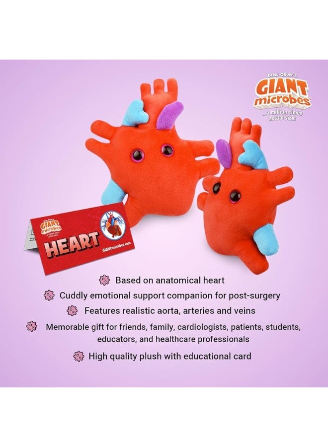 GIANTmicrobes Heart Plush, Heart Stuffed Animal, Heart Transplant Gifts, Heart Toy, Anatomical Heart Gifts, Cardiologist Gifts, Cardiology Gifts, Open Heart Surgery Gifts, Heart Attack Survivor Gifts