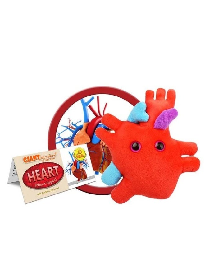 GIANTmicrobes Heart Plush, Heart Stuffed Animal, Heart Transplant Gifts, Heart Toy, Anatomical Heart Gifts, Cardiologist Gifts, Cardiology Gifts, Open Heart Surgery Gifts, Heart Attack Survivor Gifts