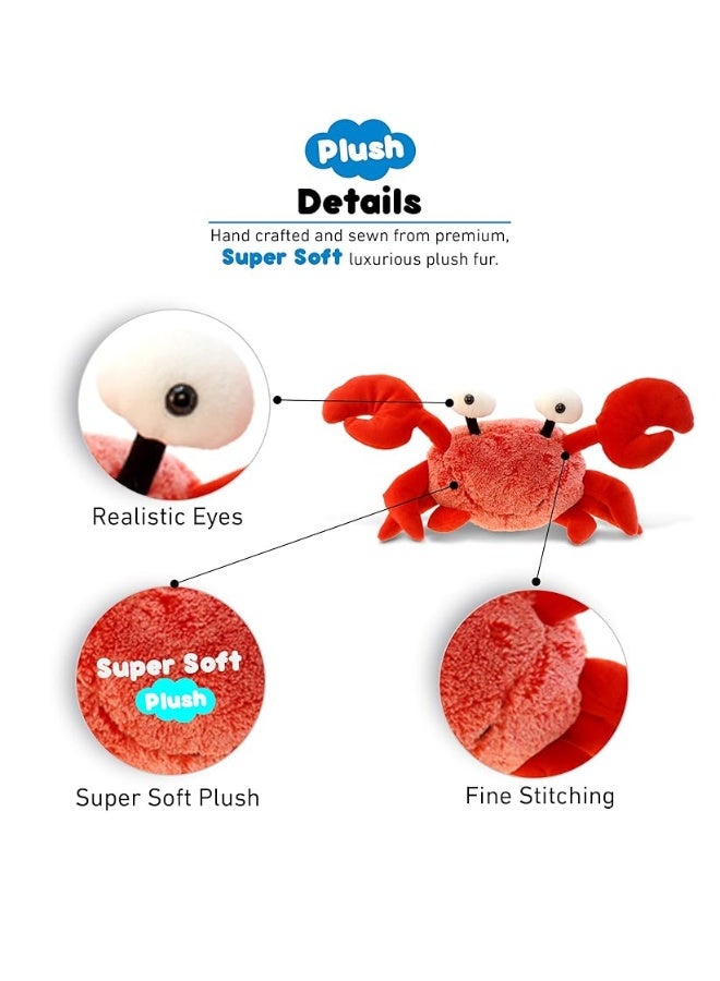 DolliBu Red Crab Stuffed Animal  Super Soft Crab Plush Toy Cute Crab Ocean Stuffed Animal for Boys and Girls Adorable Red Stuffed Animal Crab Toy Gift for Kids Teens and Adults 12 Inches