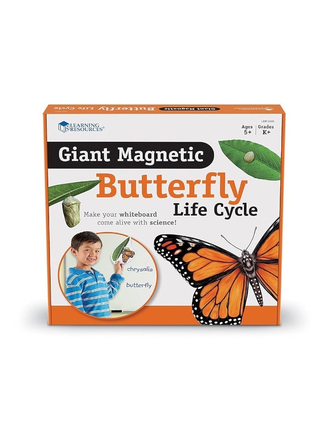 Learning Resources Butterfly Life Cycle 9 Write and Wipe Pieces Classroom Accessories Teaching Aids