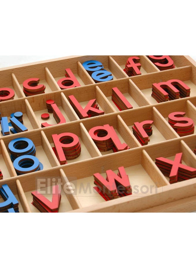Elite Montessori Wooden Movable Alphabet with Box Preschool Spelling Learning Materials (Red & Blue, 5mm Thick)