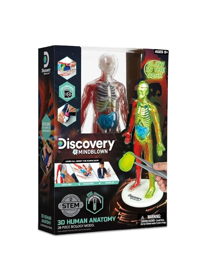 Discoveryâ„¢ #Mindblown 3D Human Anatomy 28-Piece Biology Model with Glow-in-The-Dark Human Model, Hands on Learning, Age 8+