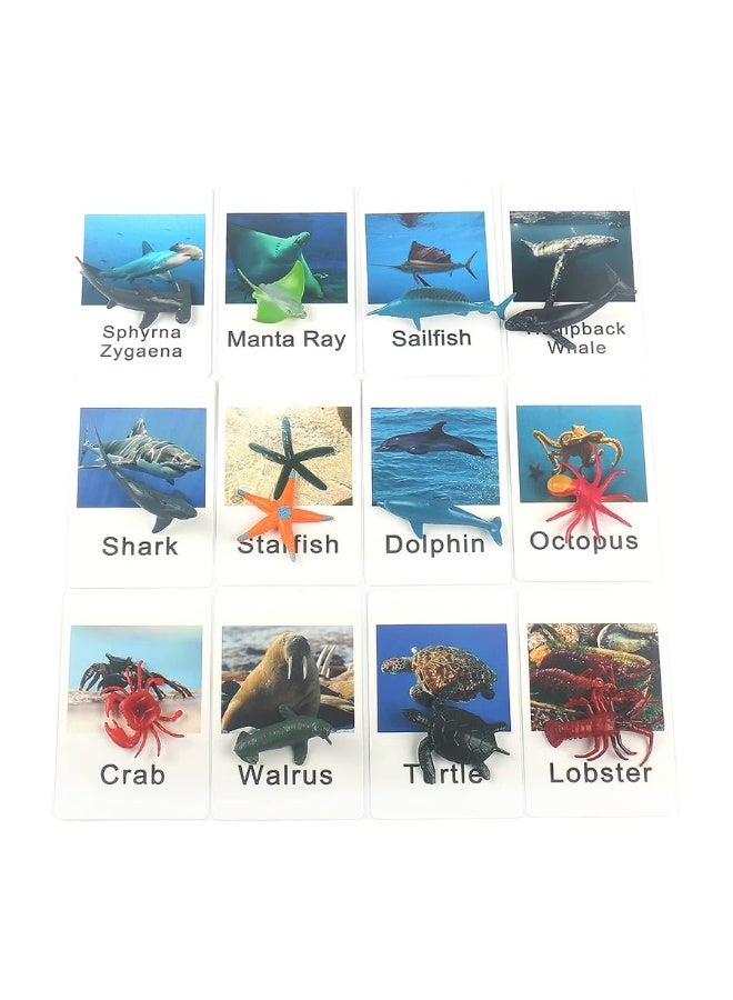 MEROCO Montessori Animal Match Game Cards Marine Animal Matching Montessori Language Materials Toddlers Preschool Educational Learning Toys NEWT011