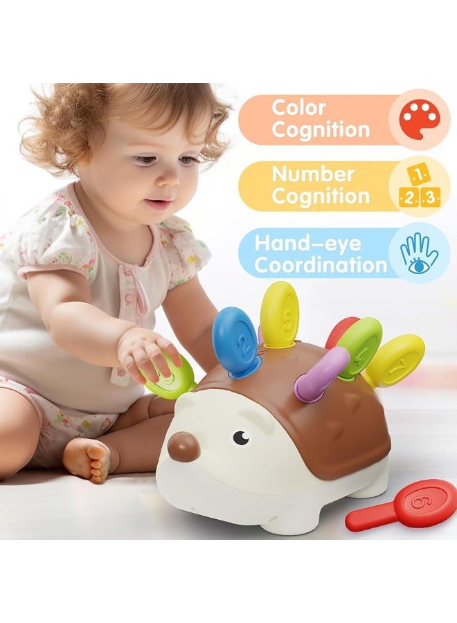 iPlay, iLearn Fine Motor Toys for Toddlers 1-3, Hedgehog Montessorri Learning Educational Counting & Sorter Toy, Development Baby Sensory Gifts for 6 9 10 12 18 Month, 1 2 3 Year Olds Boy Girl Kids