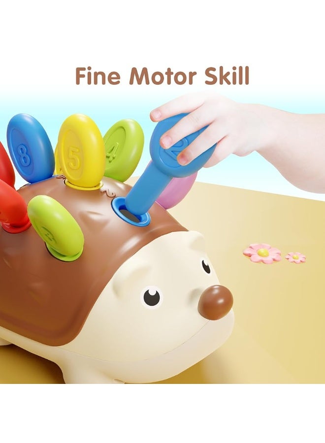 iPlay, iLearn Fine Motor Toys for Toddlers 1-3, Hedgehog Montessorri Learning Educational Counting & Sorter Toy, Development Baby Sensory Gifts for 6 9 10 12 18 Month, 1 2 3 Year Olds Boy Girl Kids