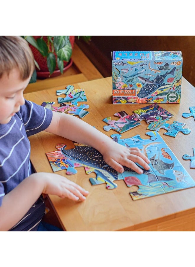 eeBoo Sharks  Friends  20 Piece Puzzle  15 x 11 Kids Jigsaw Glossy Pieces Preschool Puzzle Ages 3