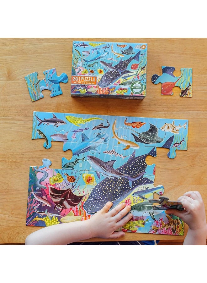 eeBoo Sharks  Friends  20 Piece Puzzle  15 x 11 Kids Jigsaw Glossy Pieces Preschool Puzzle Ages 3