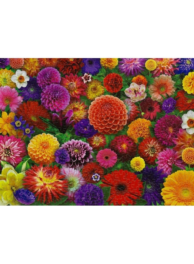 Springbok Blooming Every Daisy 500 Piece Jigsaw Puzzle for Adults - Colorful Flower Collage - Unique Cut Pieces - Great for Relaxing and Mindful Activity - Finished Size 23.5