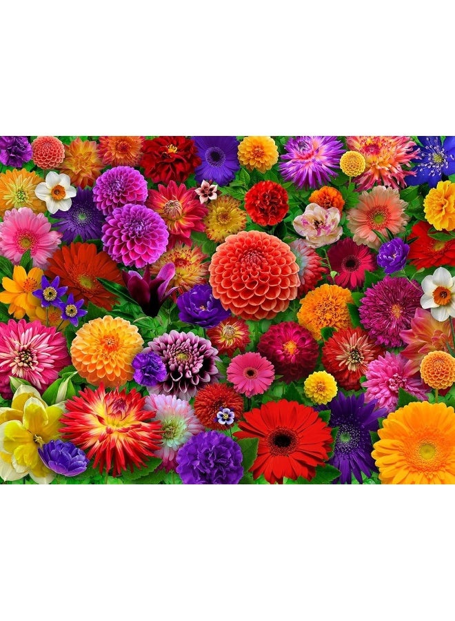 Springbok Blooming Every Daisy 500 Piece Jigsaw Puzzle for Adults - Colorful Flower Collage - Unique Cut Pieces - Great for Relaxing and Mindful Activity - Finished Size 23.5