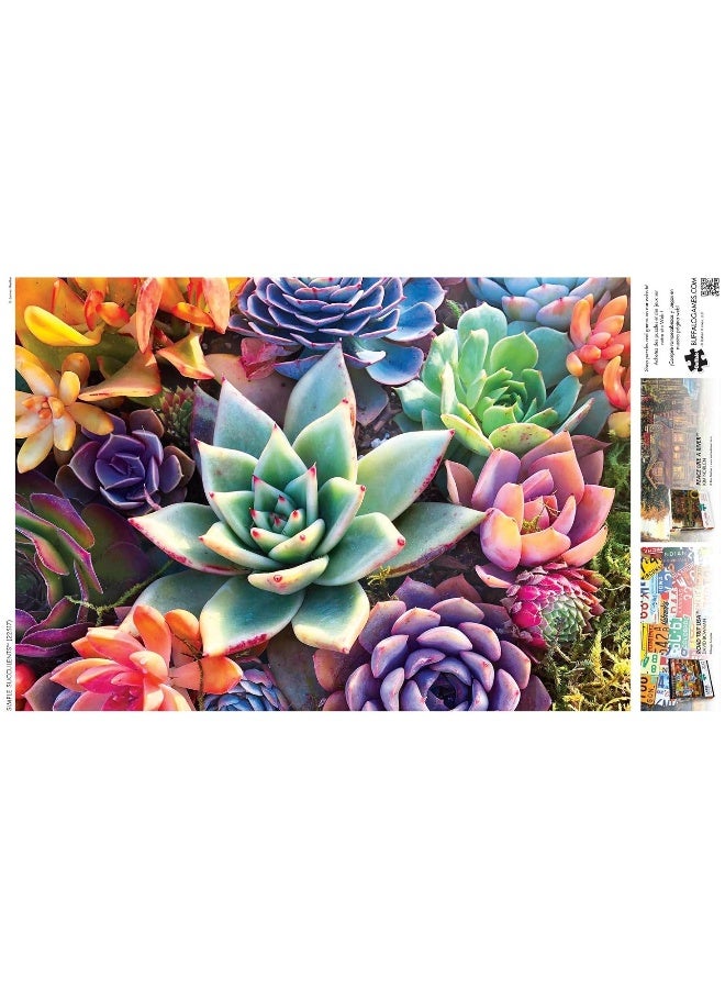 Buffalo Games - James Mertke - Simple Succulents - 300 Piece Jigsaw Puzzle for Families Challenging Puzzle Perfect for Game Nights