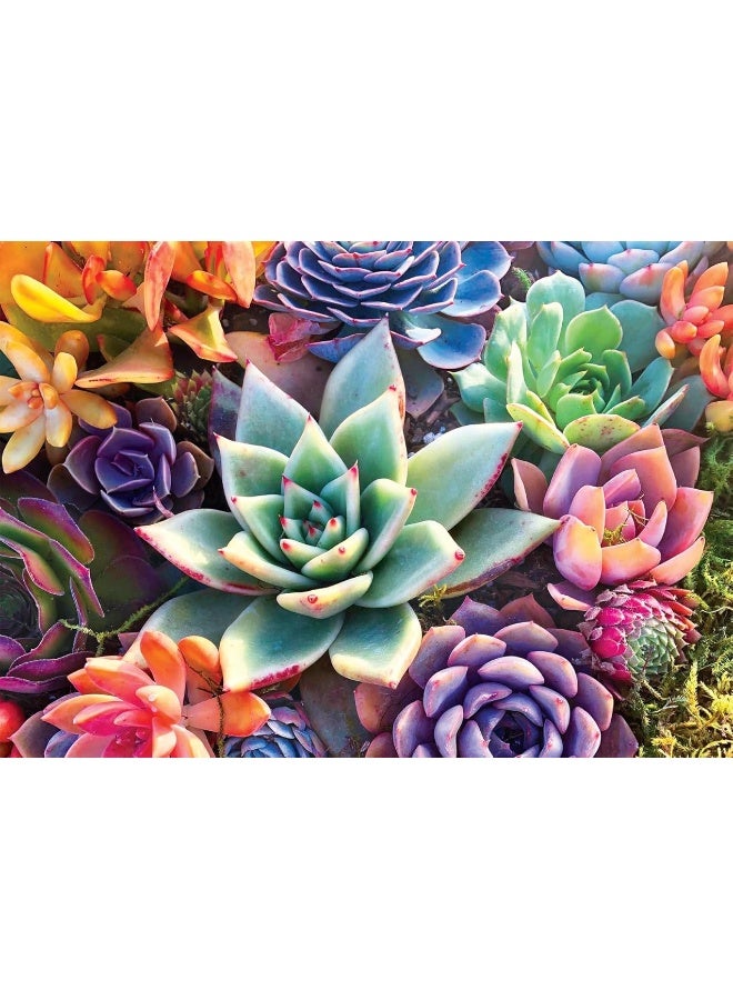 Buffalo Games - James Mertke - Simple Succulents - 300 Piece Jigsaw Puzzle for Families Challenging Puzzle Perfect for Game Nights