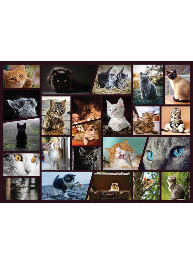 Better Me Cuddly Cats 500 Piece Jigsaw Puzzle - Cat Puzzle for Cat Lovers, 500 Piece Puzzles for Adults & All Ages Fun Family Puzzle Activity