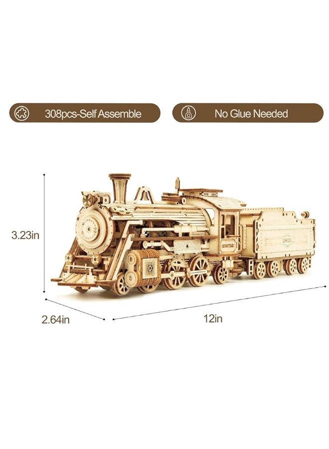 ROKR 3D Wooden Puzzle for Adults-Mechanical Train Model Kits-Brain Teaser Puzzles-Vehicle Building Kits-Unique Gift for Kids on Birthday/Christmas Day(1:80 Scale)(MC501-Prime Steam Express)