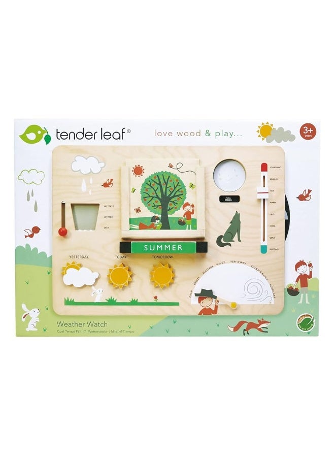 Tender Leaf Toys - Weather Watch - Educational Wooden Weatherboard for Kids - Perfect Climate Teaching Toy Station for Kids to Play and Learn for Age 3+