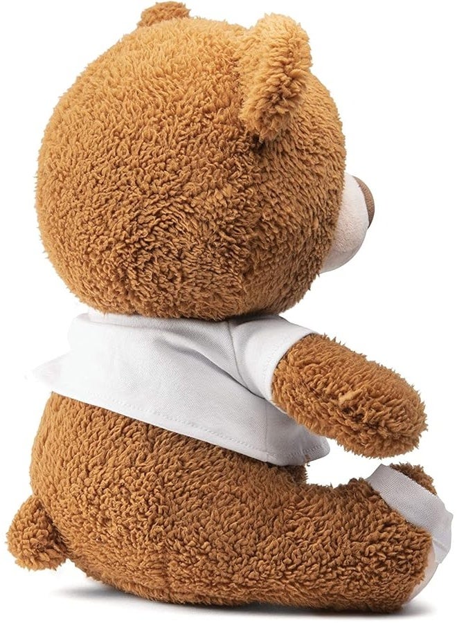 PREXTEX 12Inch Get Well Soon Plush Bear  Soft Stuffed Teddy Bear  Get Well Soon Gifts for Kids Stuffed Animals  Get Well Soon Stuffed Toy  Get Well Soon Teddy Bear Plush  Get Well Gift