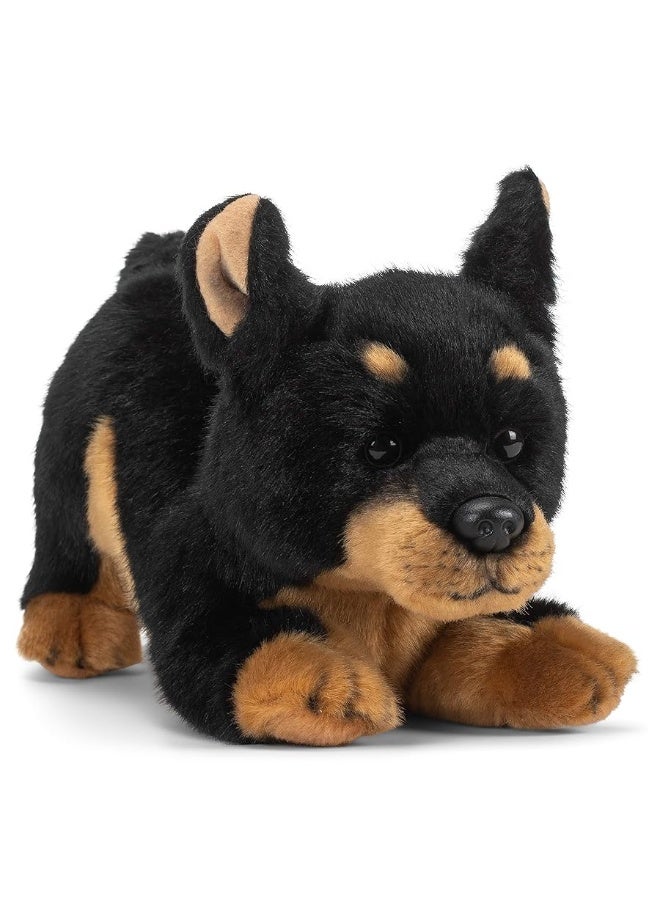 DEMDACO Doberman Pinscher Dog Black and Tan 10 inch Children's Soft Plush Stuffed Animal Toy